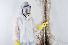 Best Mold Odor Removal Services  in Hawarden, IA